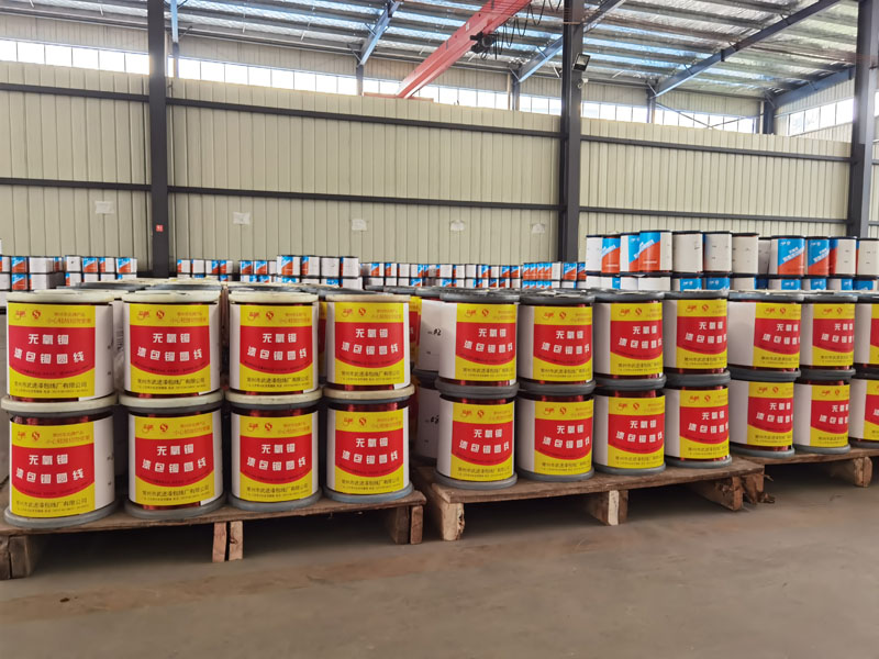 �c���鿴��